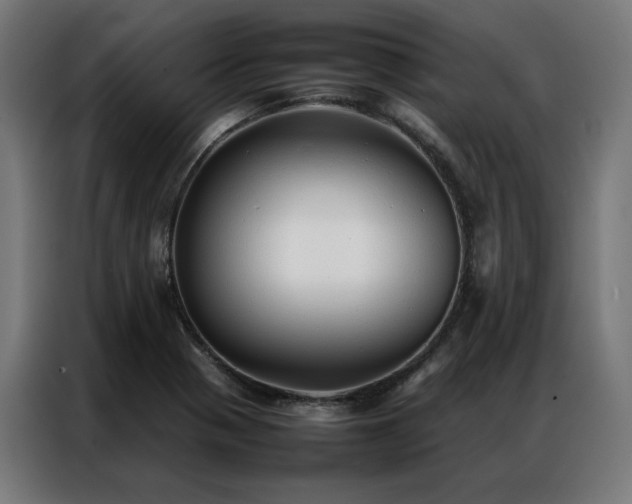X0000086991321200704161459