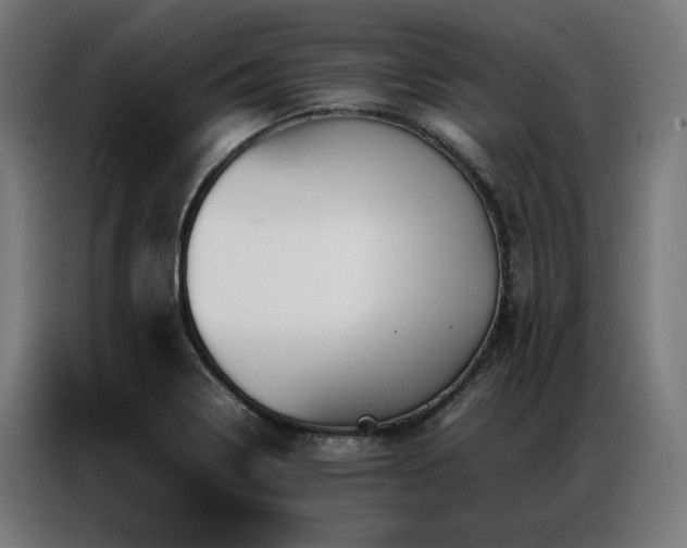 X0000086991322200704161459