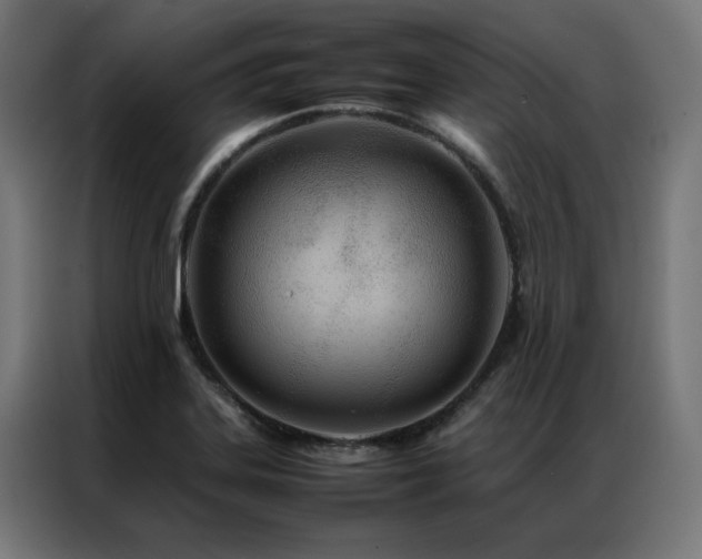 X0000086991323200704161459
