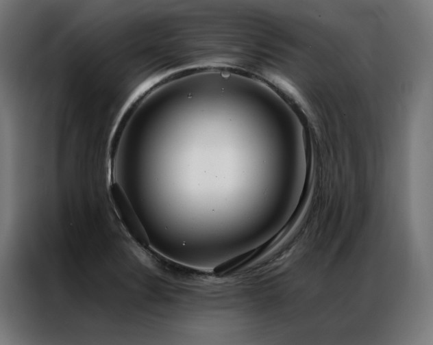 X0000086991324200704161459