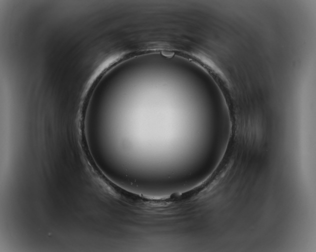 X0000086991325200704161459