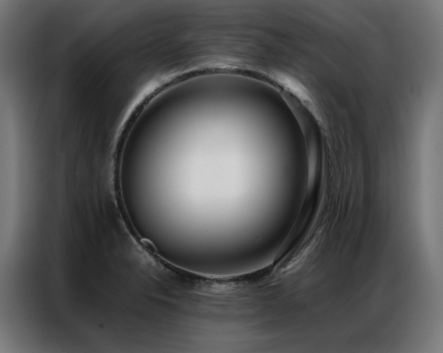 X0000086991326200704161459