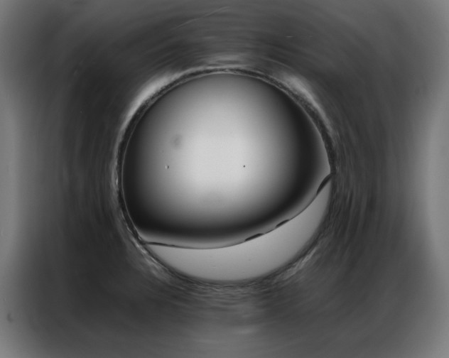 X0000086991328200704161459