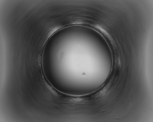 X0000086991329200704161459