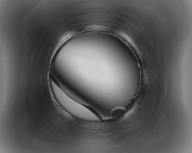 X0000086991330200704161459
