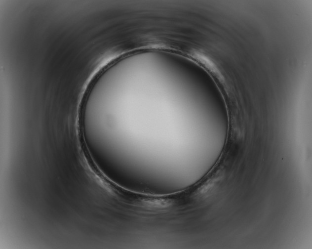 X0000086991331200704161459