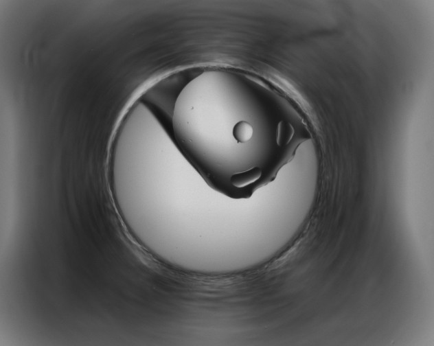 X0000086991332200704161459