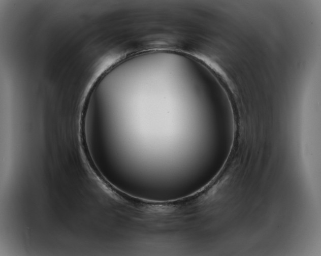 X0000086991333200704161459
