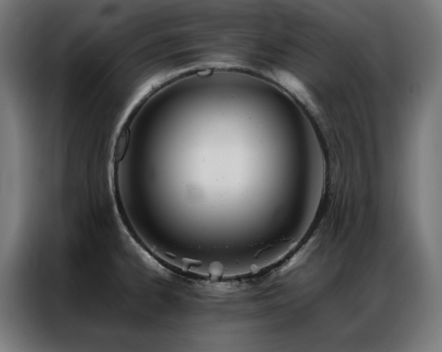 X0000086991334200704161459