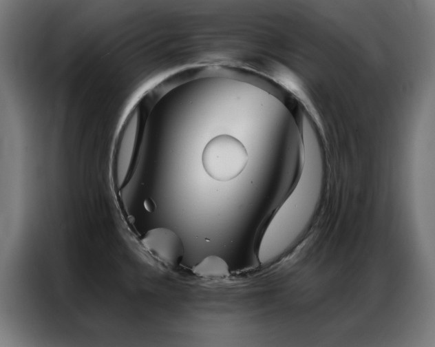 X0000086991336200704161459