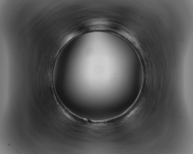 X0000086991337200704161459
