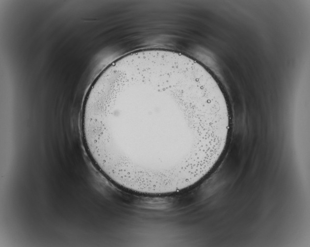 X0000086991338200704161459