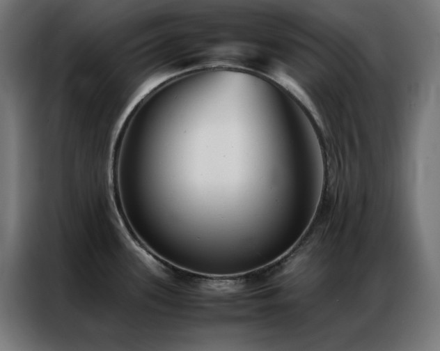 X0000086991339200704161459