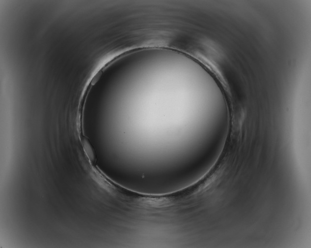 X0000086991340200704161459
