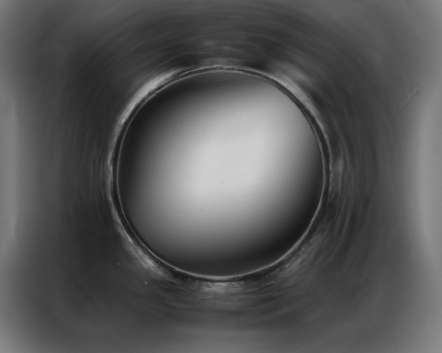 X0000086991341200704161459