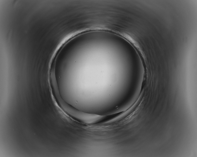 X0000086991342200704161459