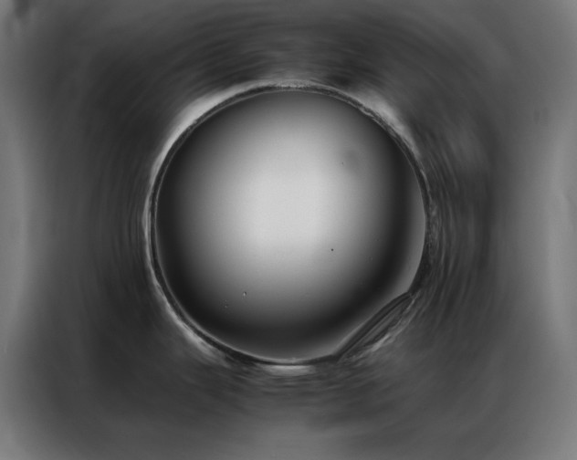 X0000086991343200704161459