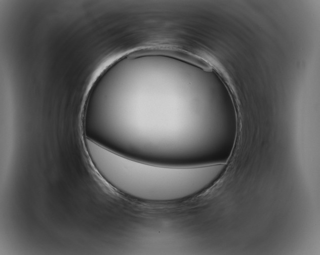 X0000086991344200704161459