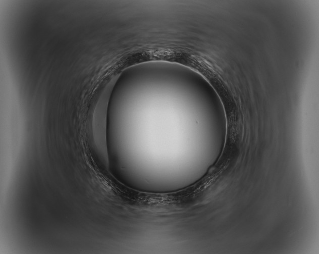 X0000086991345200704161459