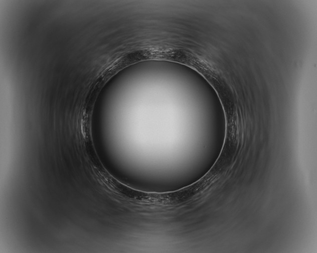 X0000086991346200704161459