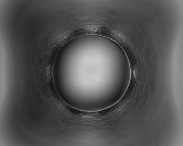 X0000086991347200704161459