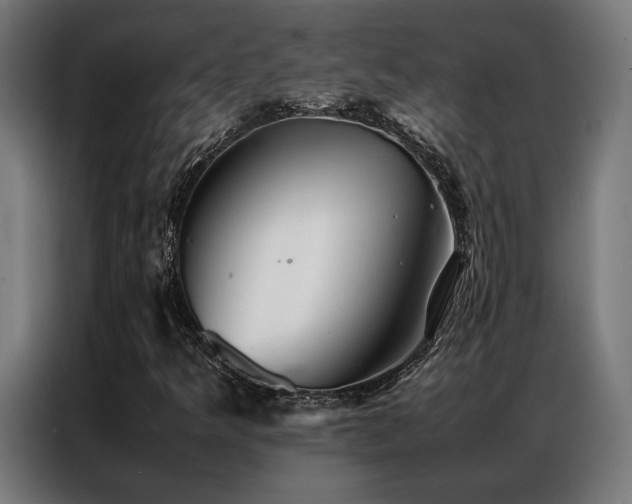 X0000086991349200704161458