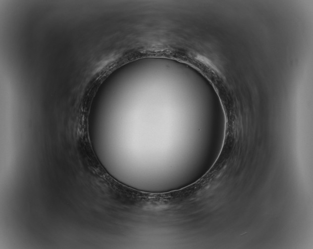X0000086991350200704161458