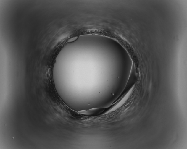 X0000086991351200704161458