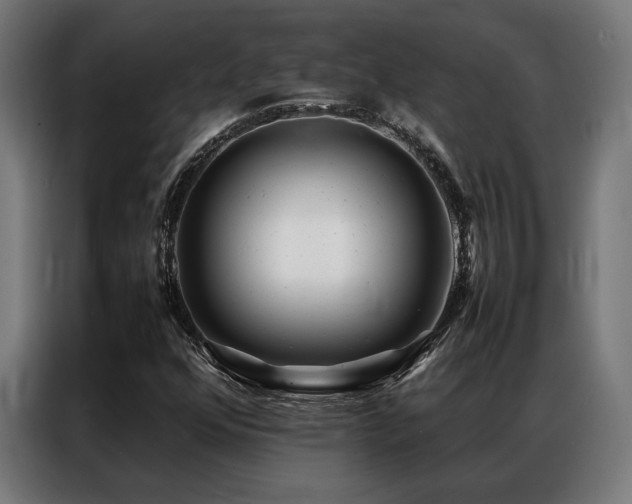 X0000086991352200704161458