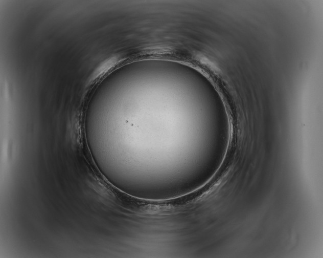 X0000086991354200704161458