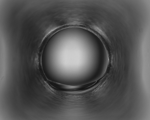 X0000086991356200704161458