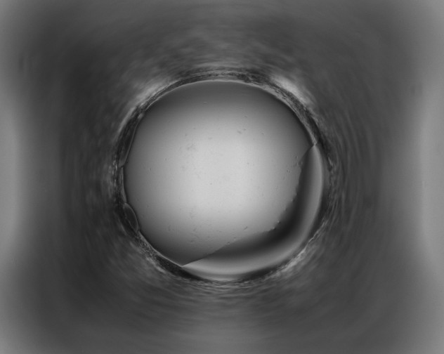 X0000086991357200704161458