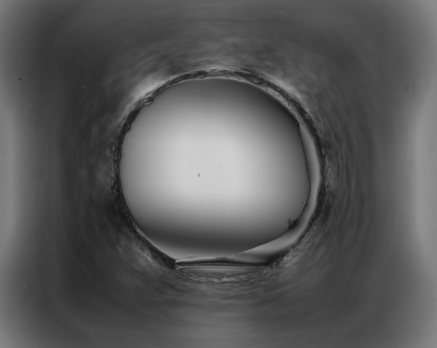 X0000086991359200704161458