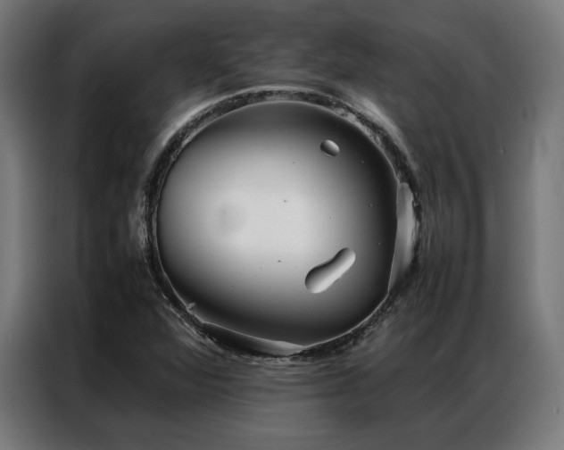 X0000086991360200704161458