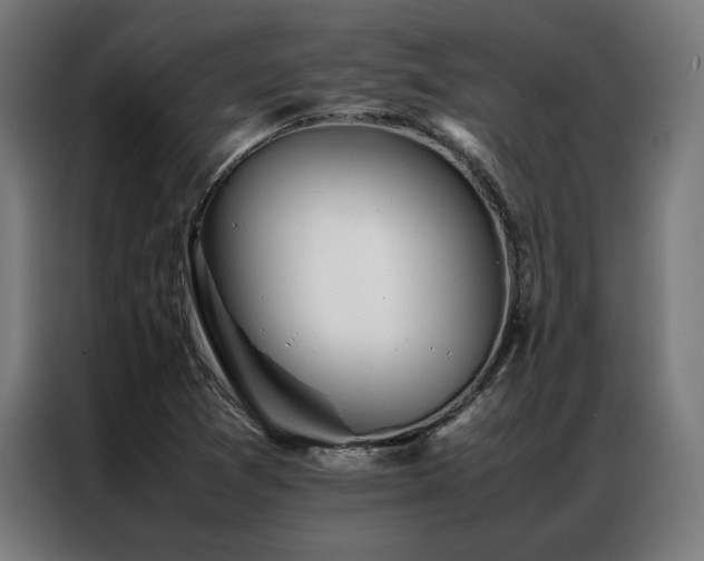 X0000086991361200704161458