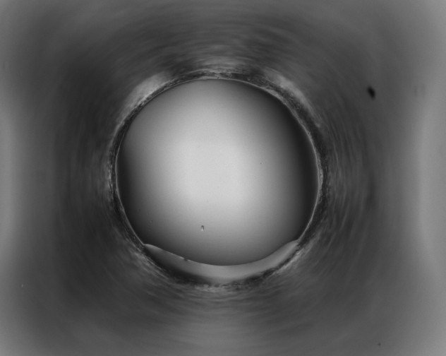 X0000086991362200704161458