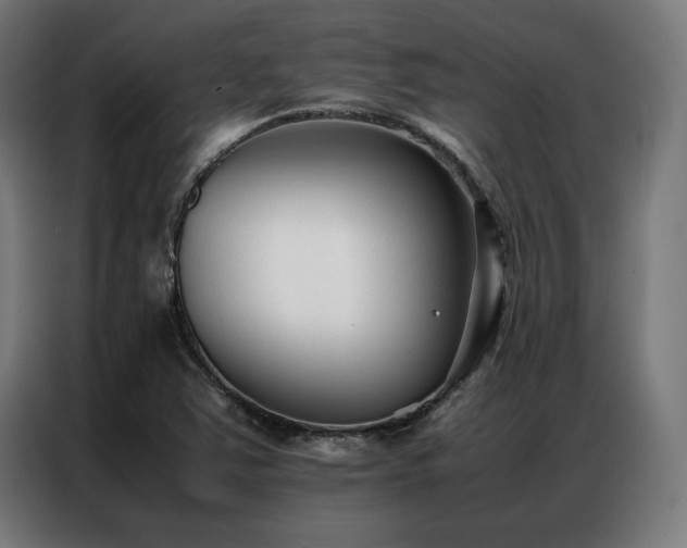 X0000086991363200704161458