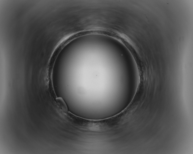 X0000086991364200704161458