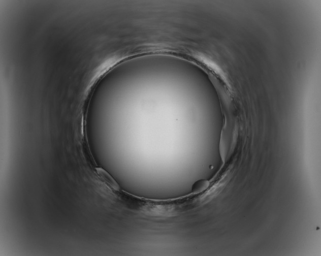 X0000086991365200704161458