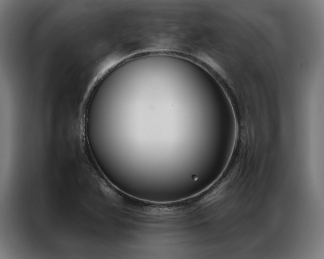 X0000086991366200704161458