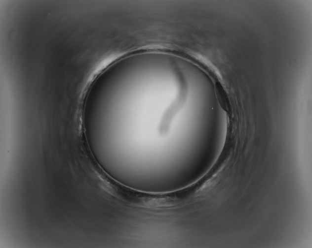 X0000086991367200704161458