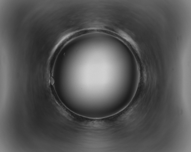 X0000086991368200704161458
