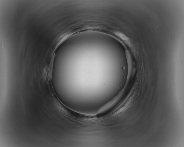 X0000086991369200704161458