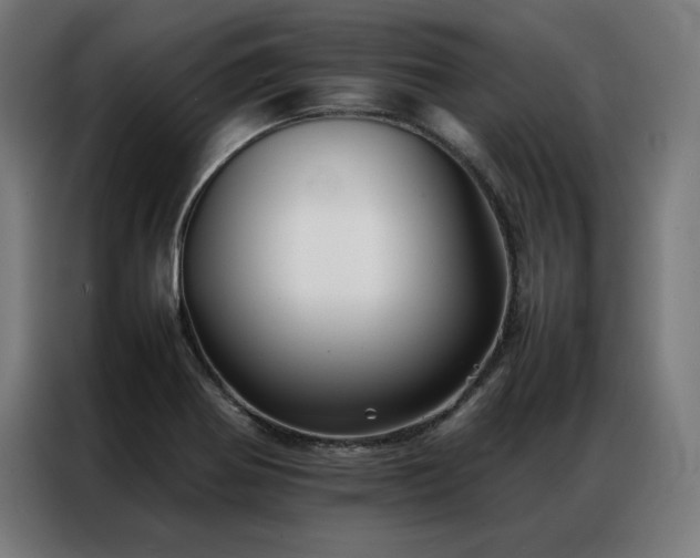 X0000086991370200704161458