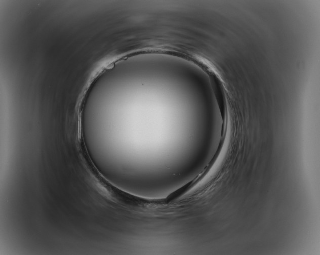 X0000086991371200704161458