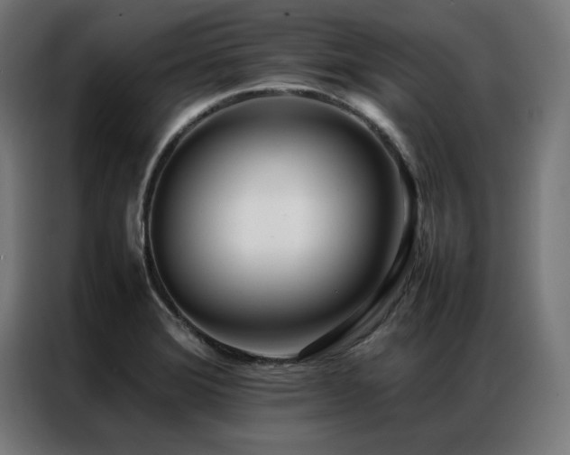 X0000086991372200704161458