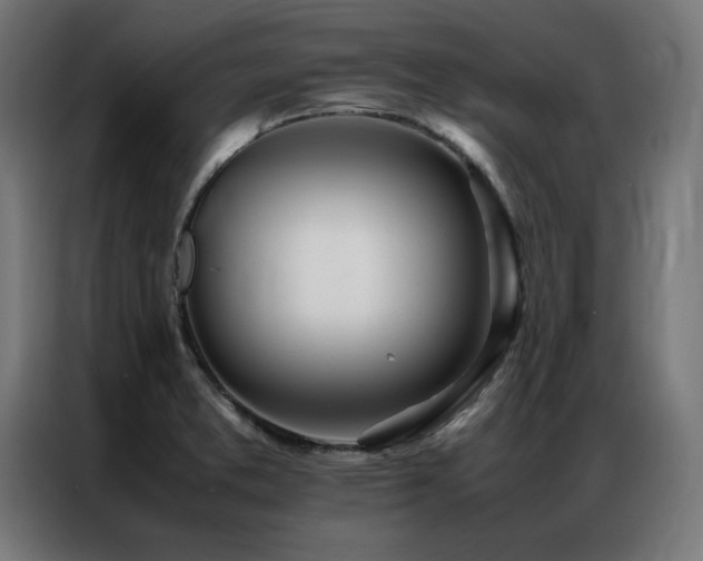 X0000086991373200704161458