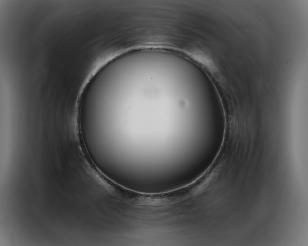 X0000086991374200704161458