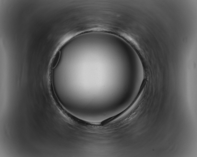 X0000086991375200704161458