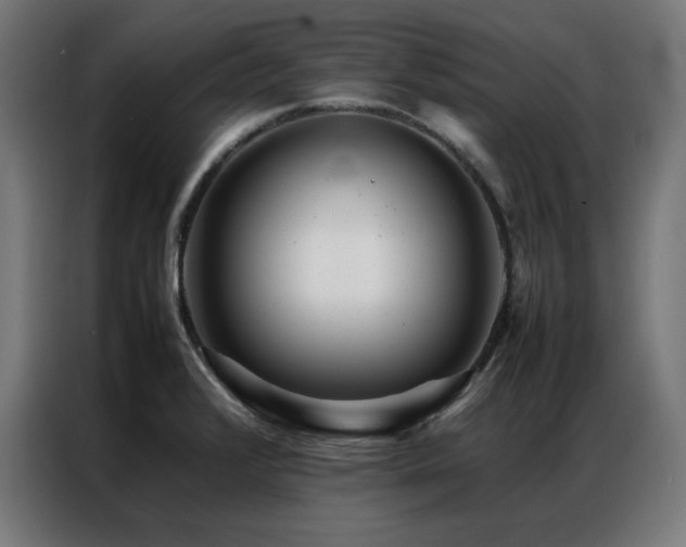 X0000086991376200704161458